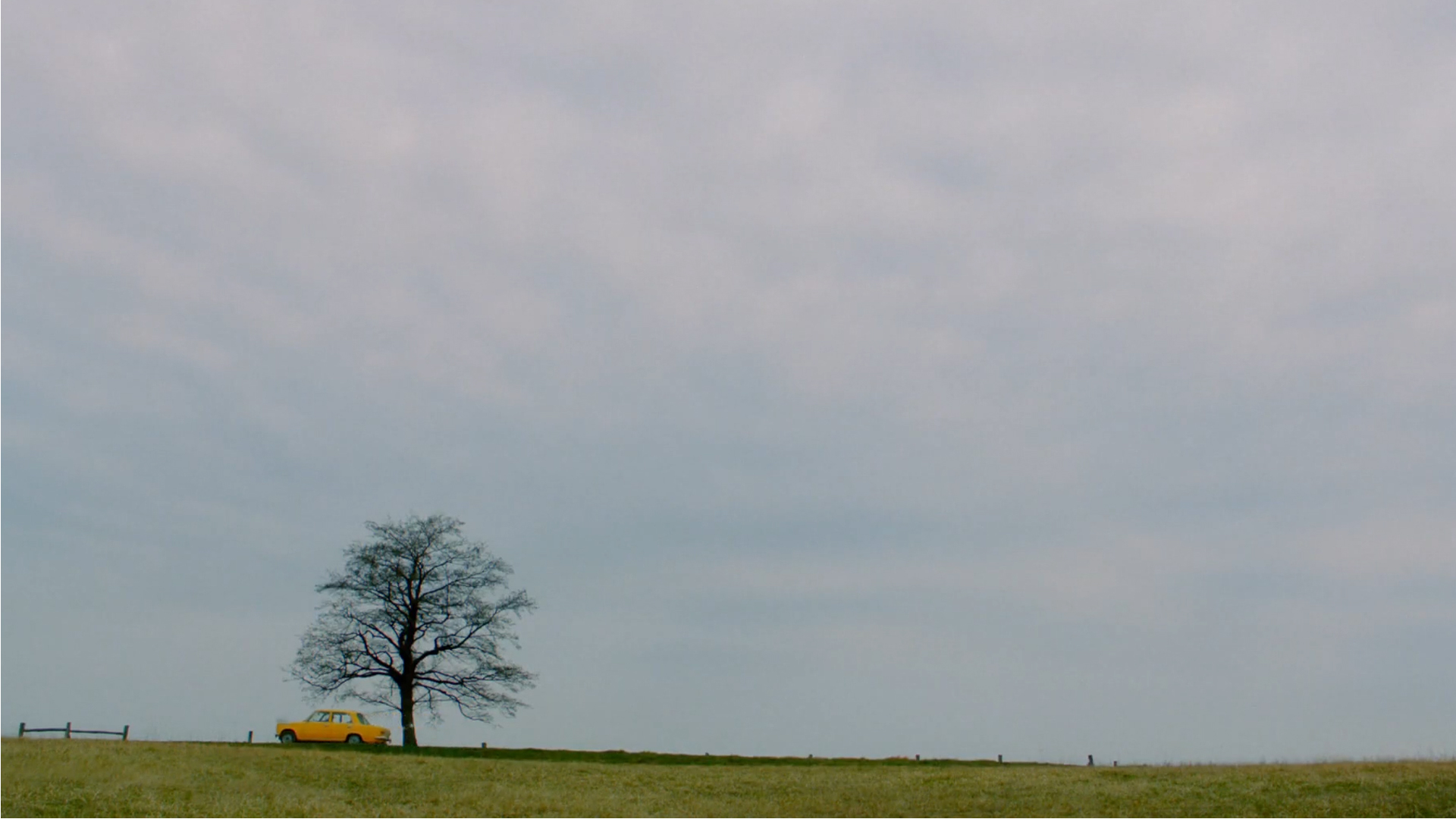 Portfolio Thumbnail Image